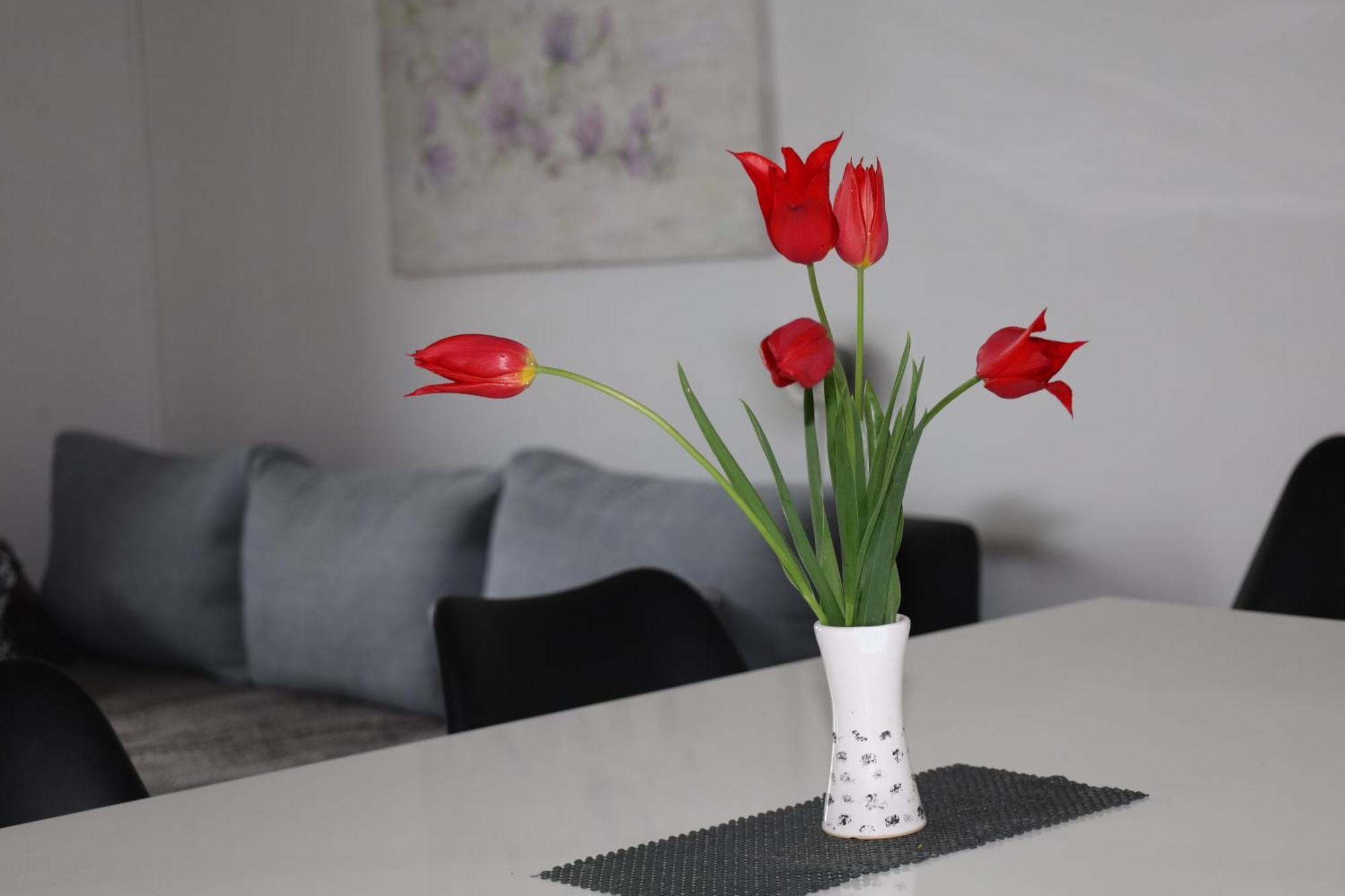 Apartma Javorscek Бовец Екстер'єр фото